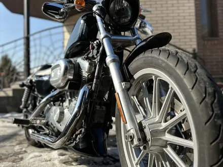 Harley-Davidson  iron xl 883 2008 года за 3 000 000 тг. в Алматы