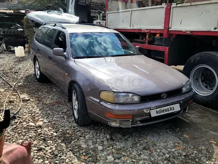 Toyota Camry 1993 года за 1 650 000 тг. в Шымкент