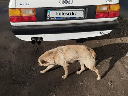 Audi 100 1984 года за 1 200 000 тг. в Шу – фото 7