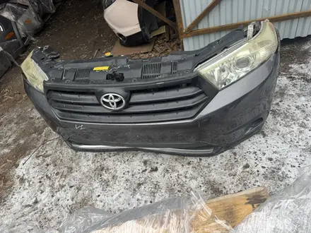 Ноускат за 15 000 тг. в Астана – фото 9