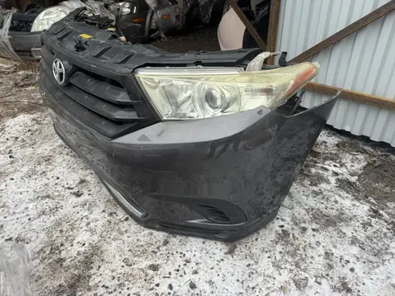 Ноускат за 15 000 тг. в Астана – фото 11