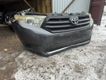 Ноускат за 15 000 тг. в Астана – фото 12