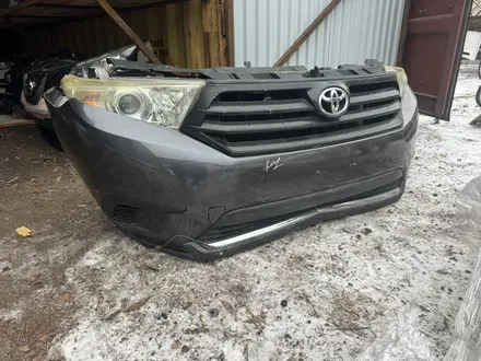 Ноускат за 15 000 тг. в Астана – фото 13