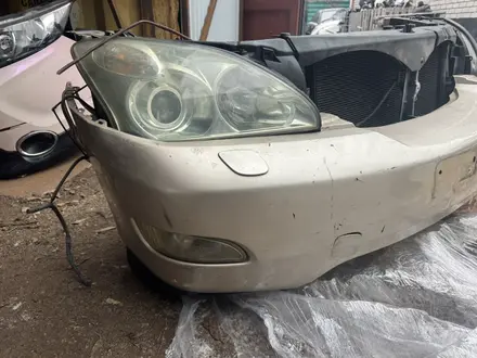 Ноускат за 15 000 тг. в Астана – фото 16