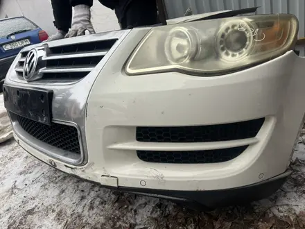 Ноускат за 15 000 тг. в Астана – фото 22