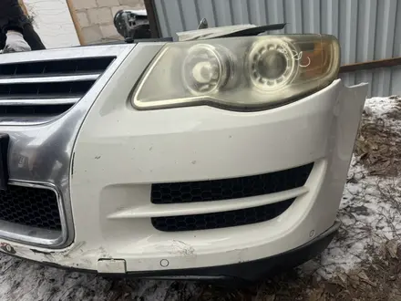 Ноускат за 15 000 тг. в Астана – фото 23