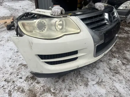 Ноускат за 15 000 тг. в Астана – фото 21