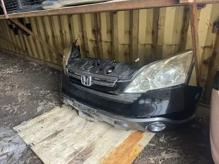 Ноускат за 15 000 тг. в Астана – фото 24