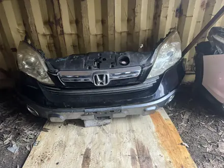 Ноускат за 15 000 тг. в Астана – фото 25