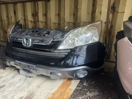 Ноускат за 15 000 тг. в Астана – фото 29