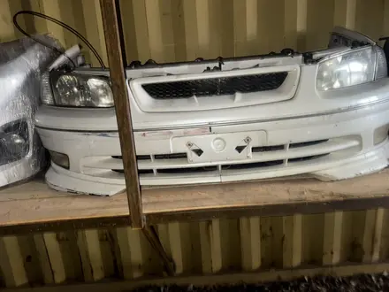 Ноускат за 15 000 тг. в Астана – фото 30