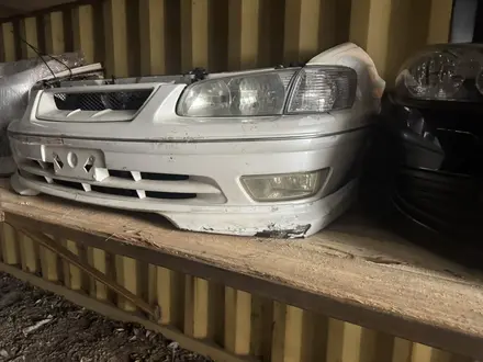 Ноускат за 15 000 тг. в Астана – фото 32