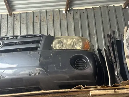 Ноускат за 15 000 тг. в Астана – фото 34