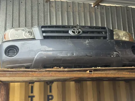 Ноускат за 15 000 тг. в Астана – фото 36