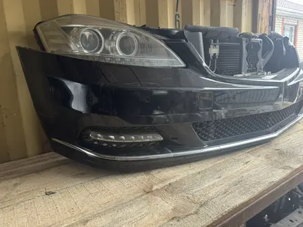 Ноускат за 15 000 тг. в Астана – фото 38