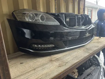 Ноускат за 15 000 тг. в Астана – фото 39