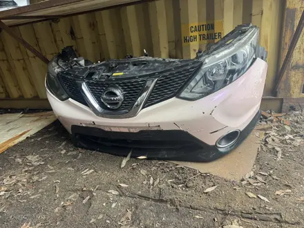 Ноускат за 15 000 тг. в Астана – фото 42