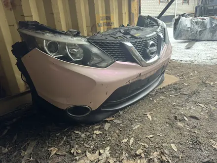 Ноускат за 15 000 тг. в Астана – фото 43