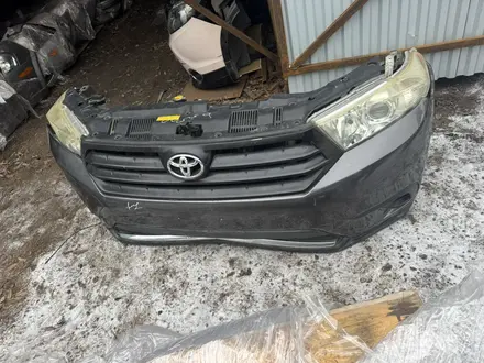 Ноускат за 15 000 тг. в Астана – фото 10