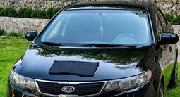 Kia Cerato 2011 года за 4 100 000 тг. в Алматы