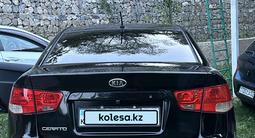 Kia Cerato 2011 года за 4 100 000 тг. в Алматы – фото 3