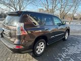 Lexus GX 460 2014 года за 21 900 000 тг. в Семей – фото 4