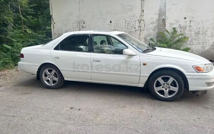 Toyota Camry 1999 года за 3 800 000 тг. в Шымкент