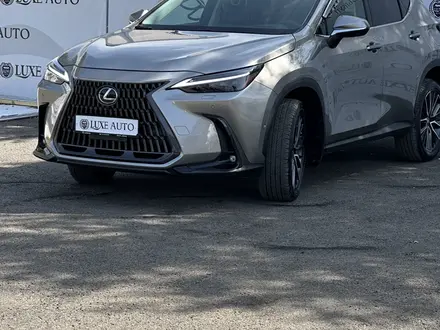 Lexus NX 250 2022 года за 29 990 000 тг. в Шымкент