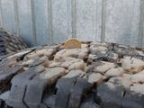 Шины 275/65/20 GOODYEAR за 100 000 тг. в Алматы – фото 5