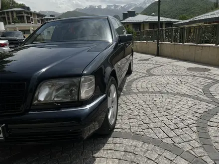 Mercedes-Benz S 320 1998 года за 7 600 000 тг. в Алматы – фото 13