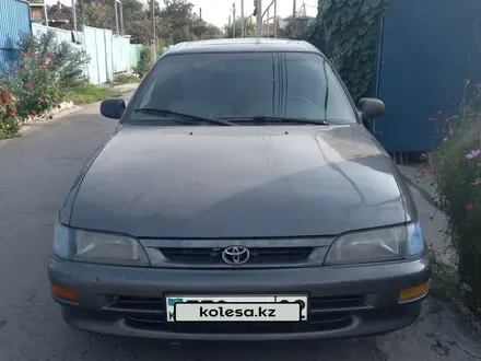 Toyota Corolla 1996 года за 1 800 000 тг. в Алматы – фото 2