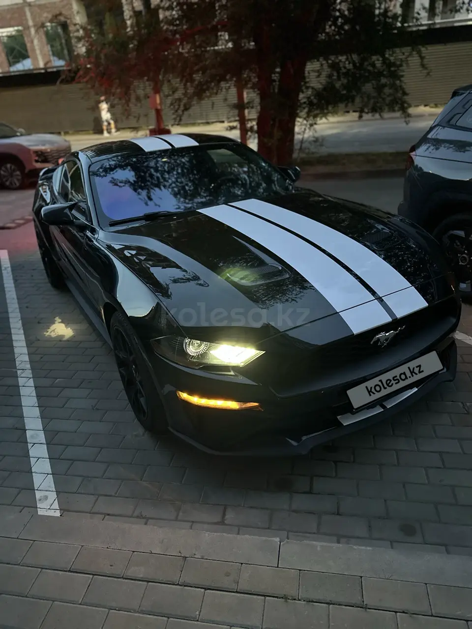 Ford Mustang, 2018