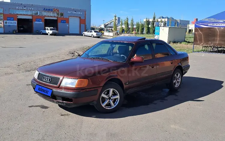 Audi 100 1991 года за 2 507 777 тг. в Петропавловск