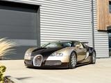Bugatti Veyron 2009 годаүшін1 000 000 000 тг. в Астана