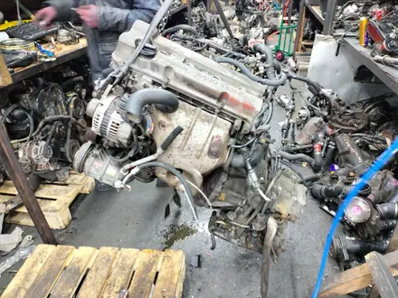 Свечные провода на Nissan presage K24 Ниссан приссаж за 10 000 тг. в Алматы – фото 2
