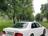 Mercedes-Benz E 55 AMG 2000 годаүшін6 200 000 тг. в Алматы – фото 3