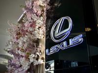 Lexus Almaty в Алматы