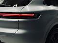 Porsche Cayenne 2023 годаүшін65 000 000 тг. в Алматы – фото 24
