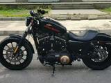 Harley-Davidson  Sportster 883 2015 года за 2 500 000 тг. в Алматы – фото 3