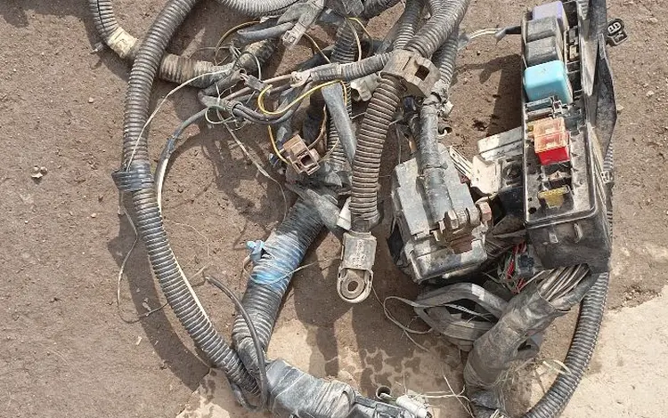 Коса,проводка 2.2 дизель за 20 000 тг. в Алматы