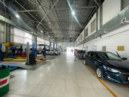 Shym Auto — официальный дилер Chevrolet в городе Шымкент в Шымкент – фото 5