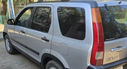 Honda CR-V 2003 года за 6 300 000 тг. в Конаев (Капшагай) – фото 3