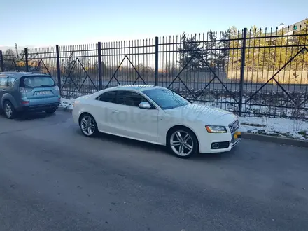 Audi S5 2009 года за 10 500 000 тг. в Алматы