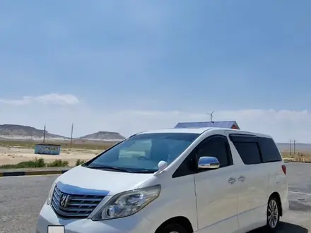 Toyota Alphard 2011 года за 6 600 000 тг. в Кульсары