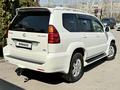 Lexus GX 470 2006 года за 11 700 000 тг. в Алматы – фото 5