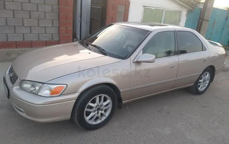 Toyota Camry 2001 года за 4 111 111 тг. в Шымкент