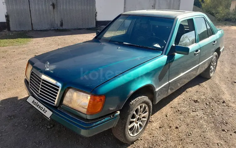 Mercedes-Benz E 250 1994 годаүшін490 000 тг. в Караганда