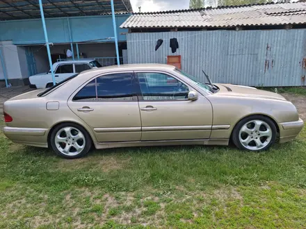 Mercedes-Benz E 430 2002 года за 4 200 000 тг. в Тараз – фото 6