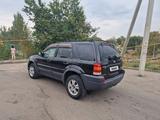 Ford Escape 2004 годаүшін1 800 000 тг. в Алматы – фото 3