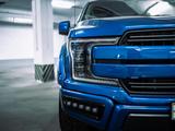 Ford F-Series 2019 годаүшін32 000 000 тг. в Алматы – фото 5